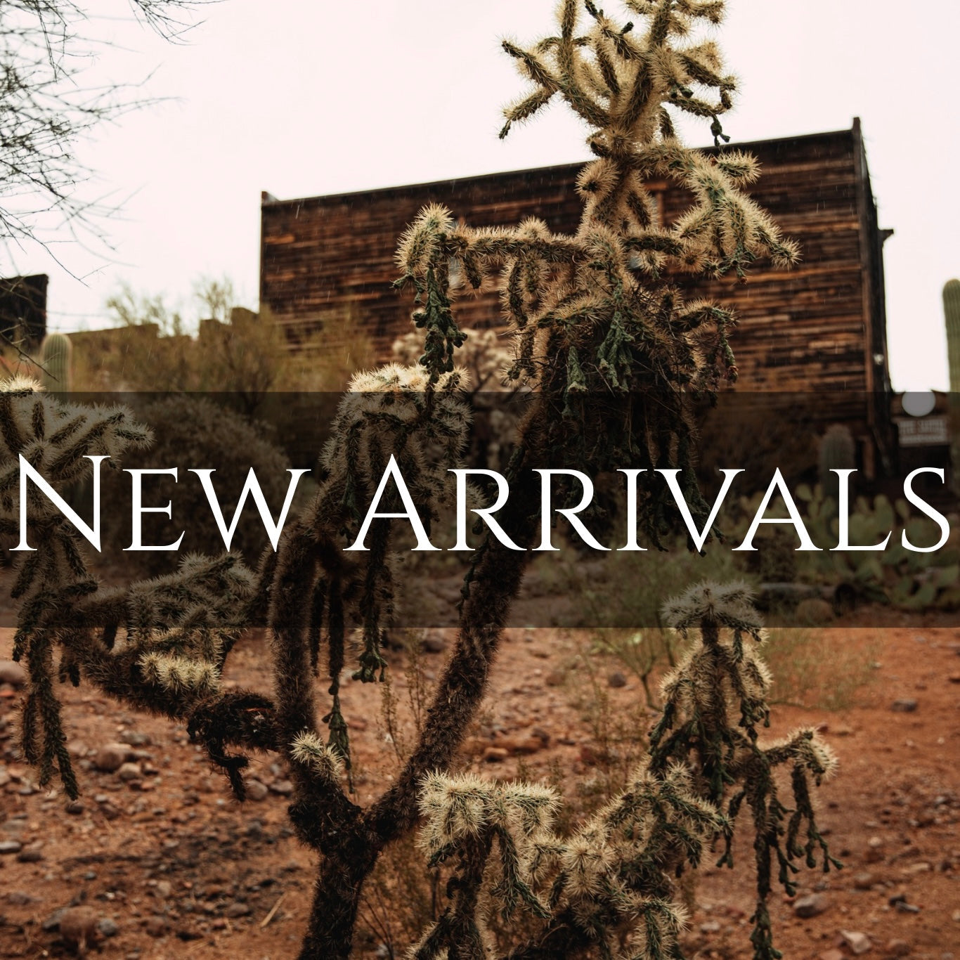 New Arrivals