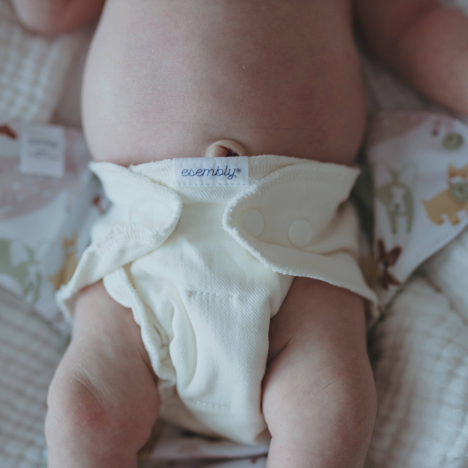 Snap Inner - 3 pack Cloth Diaper
