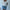 Square Neck Puff Sleeve Gauze Top