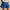 Milli Shorts